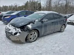KMHD84LF4LU009438 2020 HYUNDAI ELANTRA