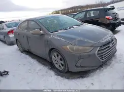 KMHD84LF5HU222129 2017 HYUNDAI ELANTRA