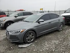 KMHD84LF5HU354176 2017 HYUNDAI ELANTRA