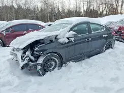 KMHD84LF5KU769618 2019 HYUNDAI ELANTRA