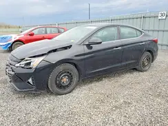 KMHD84LF6KU774312 2019 HYUNDAI ELANTRA