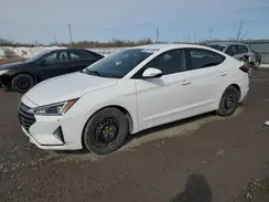 KMHD84LF6LU976973 2020 HYUNDAI ELANTRA