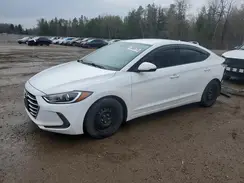 KMHD84LF7HU402177 2017 HYUNDAI ELANTRA