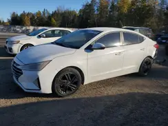 KMHD84LF7KU814980 2019 HYUNDAI ELANTRA