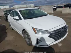 KMHD84LF7KU836428 2019 HYUNDAI ELANTRA