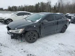 KMHD84LF7KU837806 2019 HYUNDAI ELANTRA