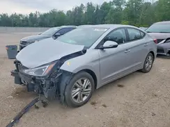 KMHD84LF7LU933257 2020 HYUNDAI ELANTRA