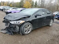 KMHD84LF8HU187568 2017 HYUNDAI ELANTRA