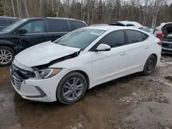 KMHD84LF8HU343611 2017 HYUNDAI ELANTRA