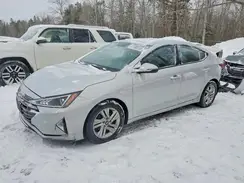 KMHD84LF8KU736032 2019 HYUNDAI ELANTRA