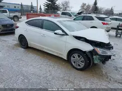 KMHD84LF9KU774269 2019 HYUNDAI ELANTRA