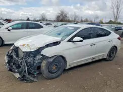 KMHD84LF9KU836561 2019 HYUNDAI ELANTRA