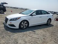 KMHE14L21HA065612 2017 HYUNDAI SONATA