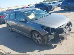 KMHE14L23HA062761 2017 HYUNDAI SONATA
