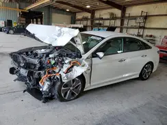 KMHE14L24KA093783 2019 HYUNDAI SONATA