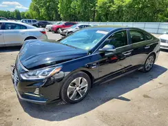 KMHE14L26KA093784 2019 HYUNDAI SONATA