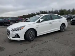 KMHE14L29KA093410 2019 HYUNDAI SONATA