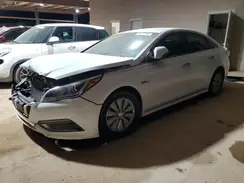 KMHE24L10GA010670 2016 HYUNDAI SONATA