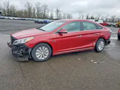 KMHE24L10GA012239 2016 HYUNDAI SONATA