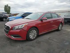 KMHE24L10GA032426 2016 HYUNDAI SONATA