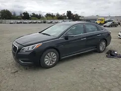 KMHE24L10HA051477 2017 HYUNDAI SONATA