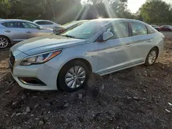 KMHE24L12GA024487 2016 HYUNDAI SONATA