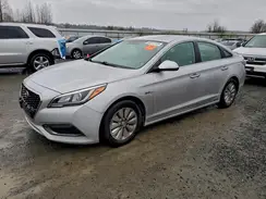 KMHE24L12HA046006 2017 HYUNDAI SONATA