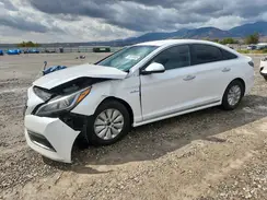 KMHE24L13GA014227 2016 HYUNDAI SONATA