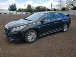 KMHE24L16HA052181 2017 HYUNDAI SONATA