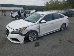 KMHE24L16HA056246 2017 HYUNDAI SONATA