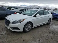 KMHE24L17HA050925 2017 HYUNDAI SONATA