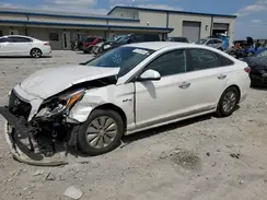 KMHE24L18GA020234 2016 HYUNDAI SONATA