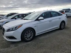 KMHE24L18HA043496 2017 HYUNDAI SONATA