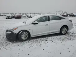 KMHE24L19HA046102 2017 HYUNDAI SONATA