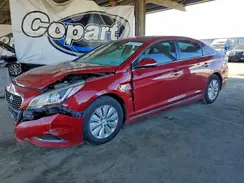 KMHE24L1XGA019229 2016 HYUNDAI SONATA
