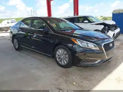 KMHE24L1XHA044682 2017 HYUNDAI SONATA