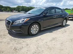 KMHE24L30HA075439 2017 HYUNDAI SONATA
