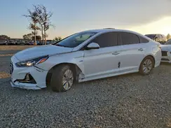 KMHE24L30KA091714 2019 HYUNDAI SONATA