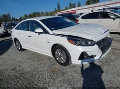KMHE24L30KA091826 2019 HYUNDAI SONATA