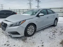 KMHE24L31HA074137 2017 HYUNDAI SONATA