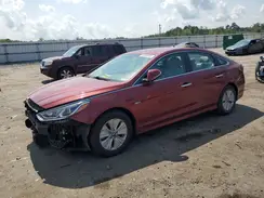KMHE24L31KA085078 2019 HYUNDAI SONATA