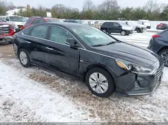 KMHE24L31KA088207 2019 HYUNDAI SONATA