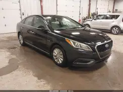 KMHE24L32HA066550 2017 HYUNDAI SONATA
