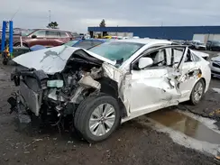 KMHE24L32KA091598 2019 HYUNDAI SONATA