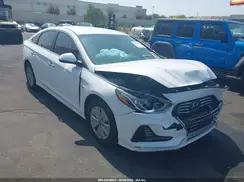 KMHE24L33KA088774 2019 HYUNDAI SONATA