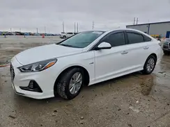 KMHE24L33KA091559 2019 HYUNDAI SONATA