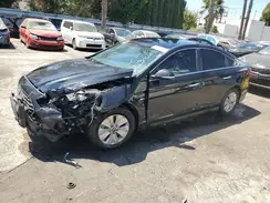 KMHE24L33KA091576 2019 HYUNDAI SONATA
