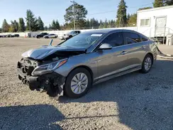 KMHE24L34HA063441 2017 HYUNDAI SONATA