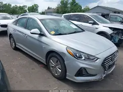 KMHE24L34KA091196 2019 HYUNDAI SONATA
