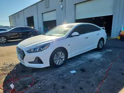 KMHE24L34KA091683 2019 HYUNDAI SONATA